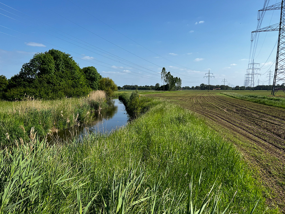 Ein Fluss mäandert durch Felder und Wiesen. 