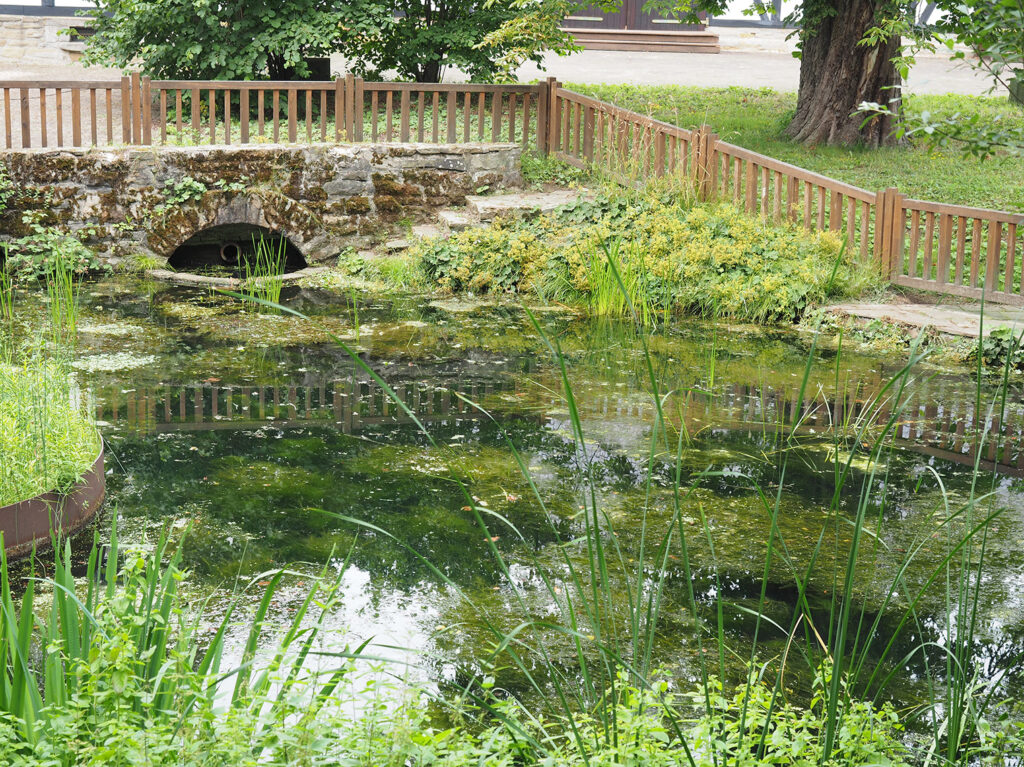 Ein Teich, umgeben von Grün. Im Hintergrund sieht man einen Hof mit Fachwerkhäusern.