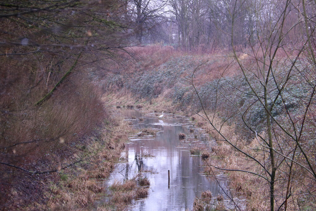 Ein Fluss inmitten von herbstlich kargen Bäumen und Sträuchern. Im Wasser steht ein Fischreiher. 