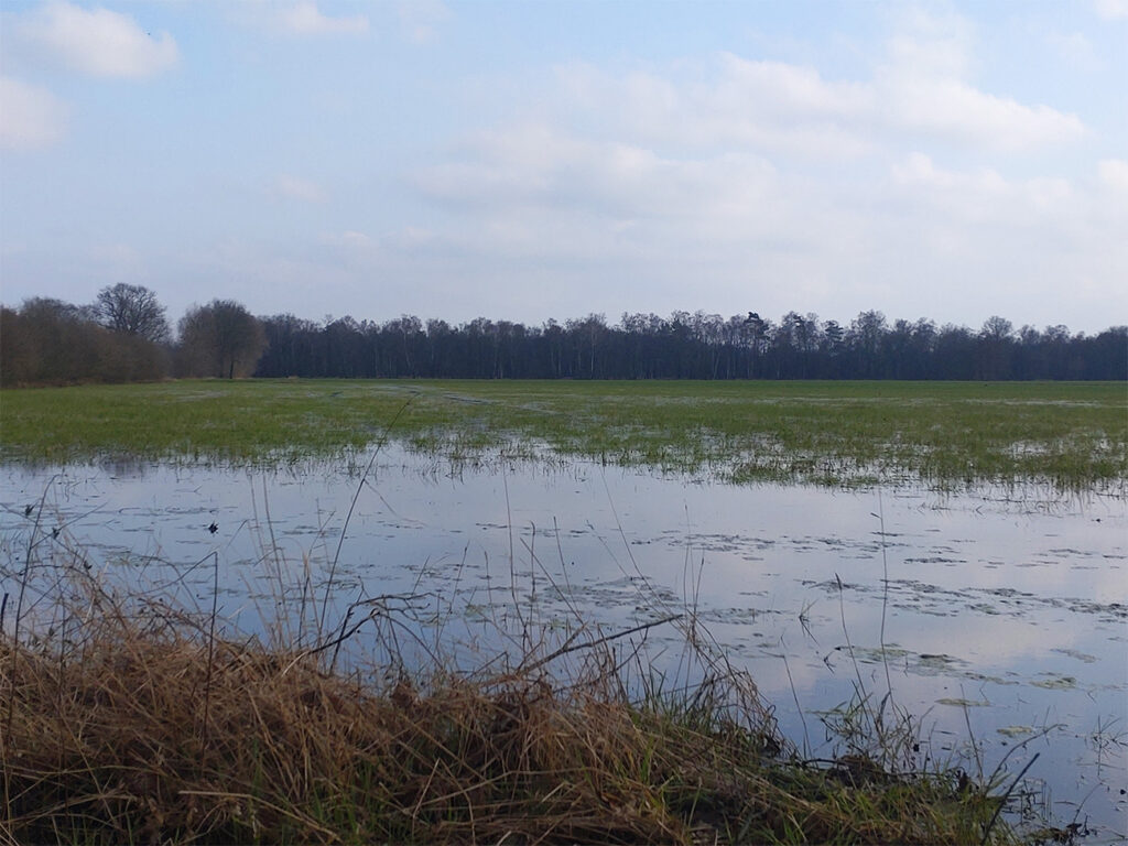 Ein Feld, auf dem sich Wasser staut.